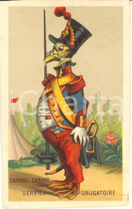 Materiale pubblicitario d’epoca 1890 ca FRANCE ANIMAUX  Caporal canard  Service obligatoire  Chromo card 1