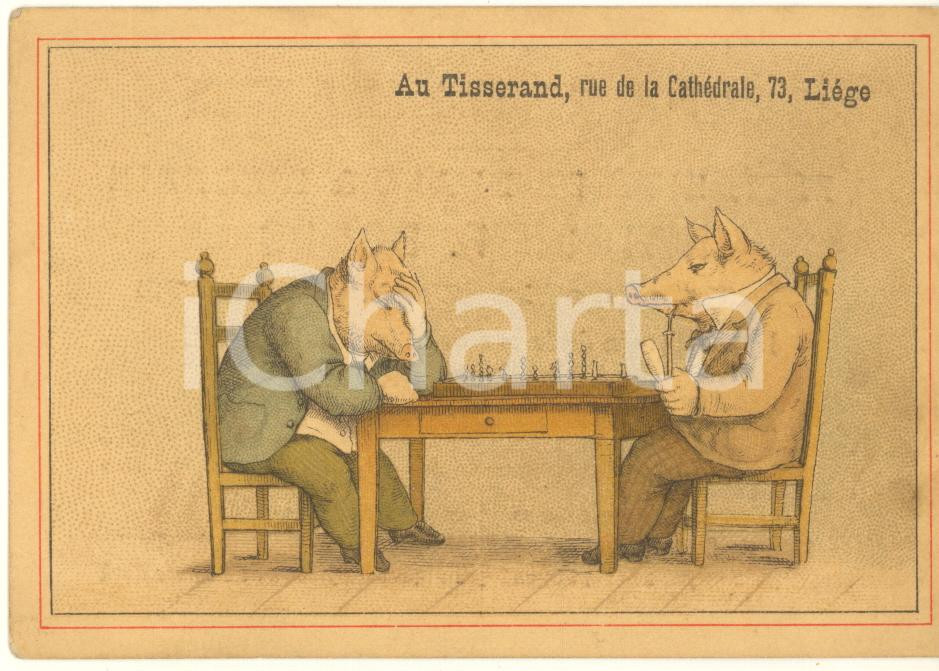 Materiale pubblicitario d’epoca 1900 ca BELGIQUE LIEGE  AU TISSERAND Blanc  Pigs playing chess Chromo card 1