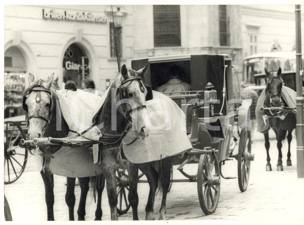 Fotografia d epoca originale 1980 ca WIEN RATHAUSPLATZ Carrozze turistiche Fiaker Foto COSTUME 2 1