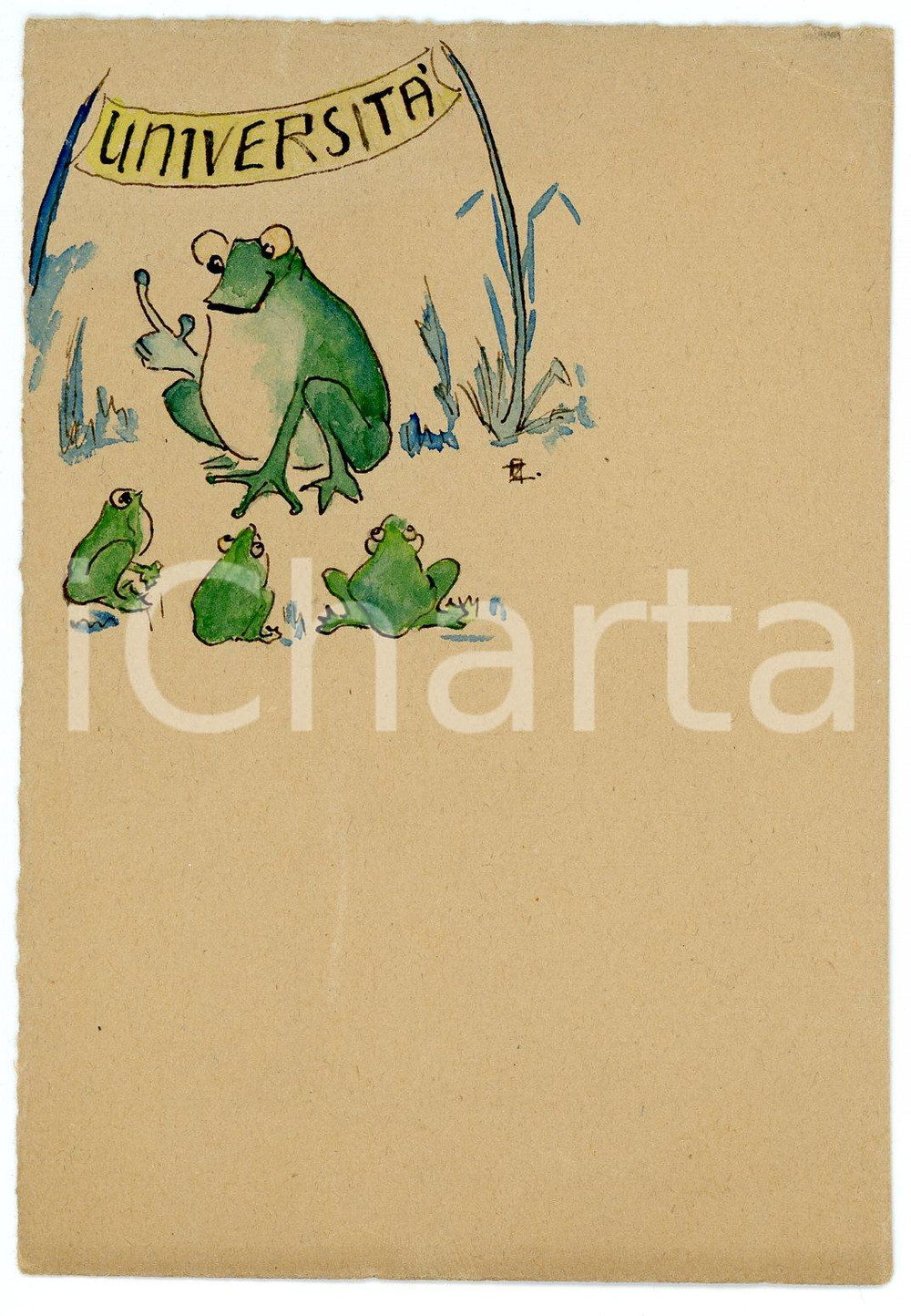 Cartolina originale da collezione 1940 ca UMORISMO L Università delle rane  Cartoncino ILLUSTRATO 8x12 cm 1