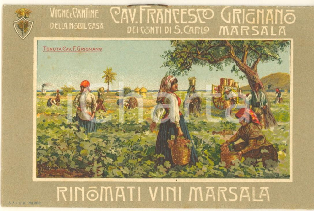 Materiale pubblicitario d’epoca 1910 ca MARSALA Cav. Francesco GRIGNANO  Vini  Pieghevole ILLUSTRATO 1