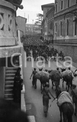 Negativo, diapositiva originale 1940 BRESCIA via Corsica volontari G.I.L. in sfilata con muli NEGATIVO ORIGINALE 1