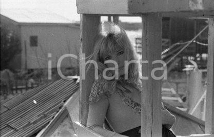 Fotografia d epoca originale 1975ca Monica VITTI photoshoot dell attrice in esterni NEGATIVO ORIGINALE 2 1