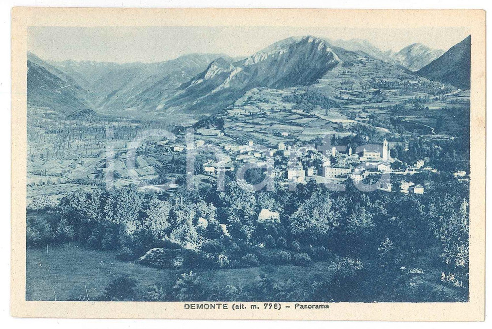 Cartolina originale da collezione 1925 ca DEMONTE CN Panorama del paese  Cartolina FP NV 1