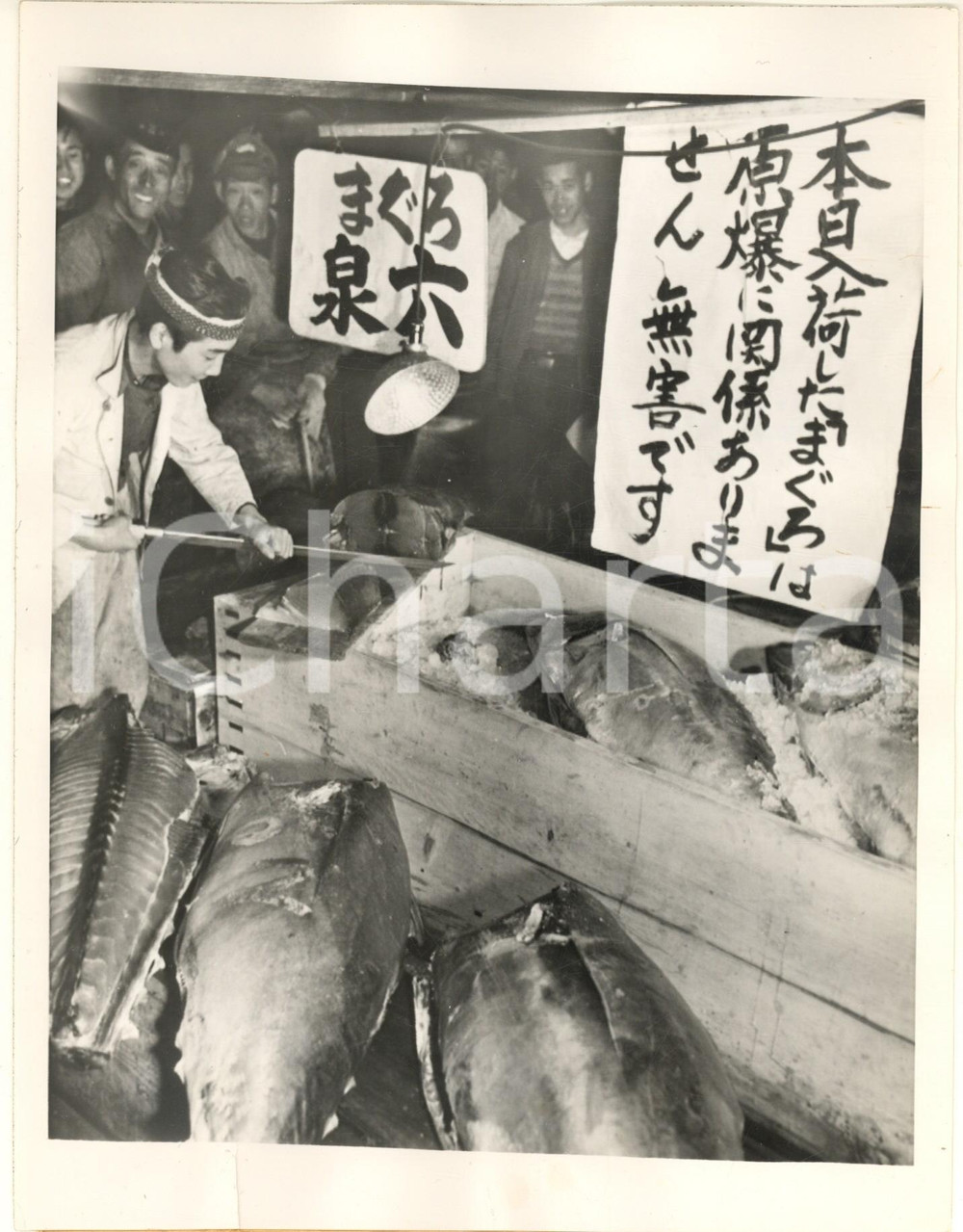 Fotografia d epoca originale 1954 TOKYO JAPAN Fish merchants without buyers after atomic test Photo 1