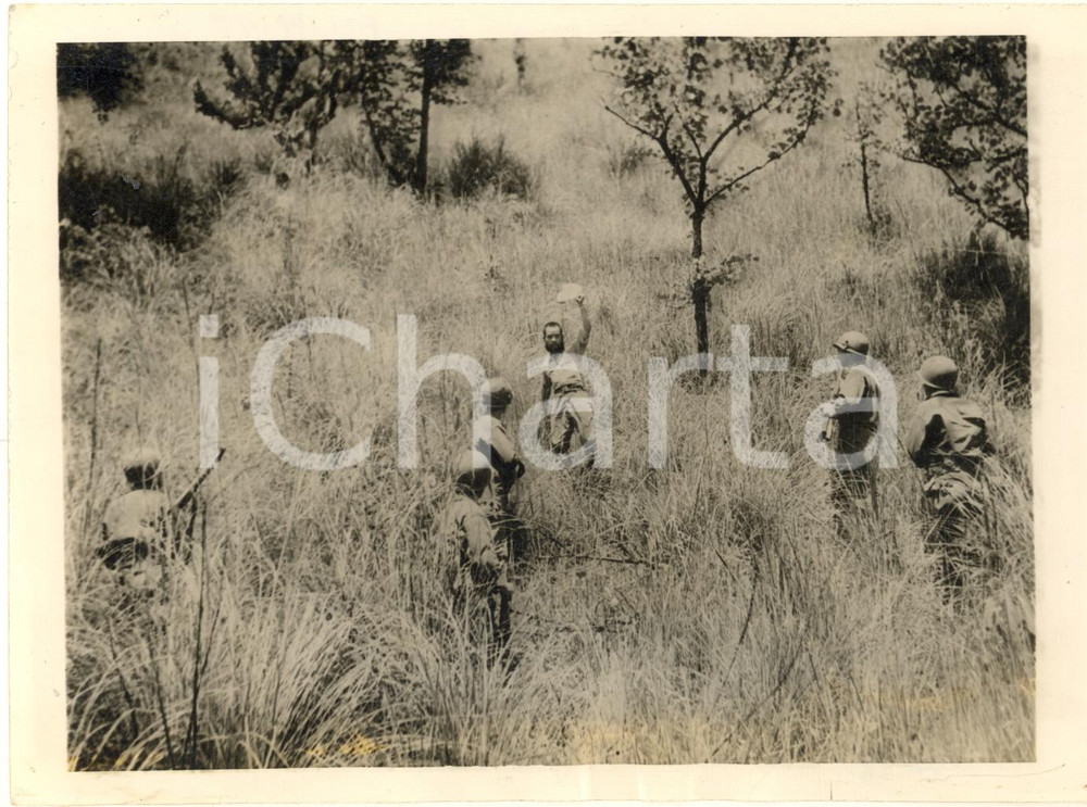Fotografia d epoca originale 1945 WW2 LUZON PHILIPPINES Japanese soldier surrendering to Americans Photo 1