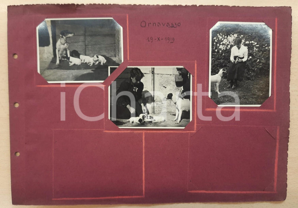 Fotografia d epoca originale 1919 ORNAVASSO VCO Donna con i suoi cani Lotto 3 foto COSTUME 11x8 cm 1