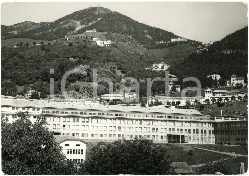 Cartolina originale da collezione 1953 TRIVERO  Panorama di Trivero e Centro Zegna  Cartolina FG VG 1