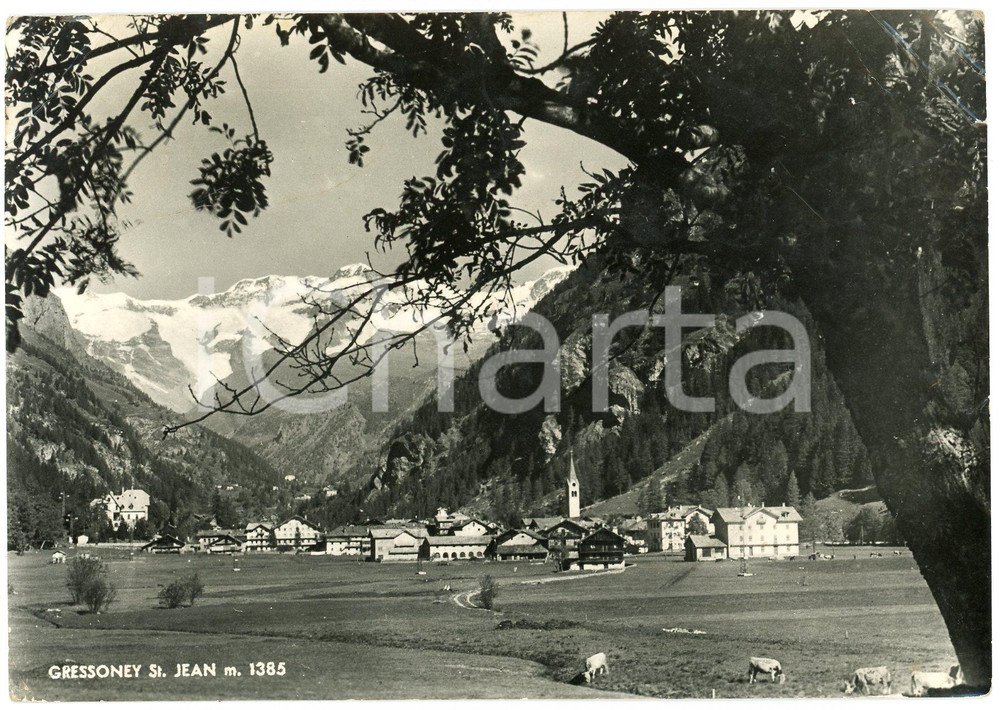 Cartolina originale da collezione 1950 GRESSONEYSAINTJEAN Panorama di GressoneySaintJean Monte Rosa Cartolina 1