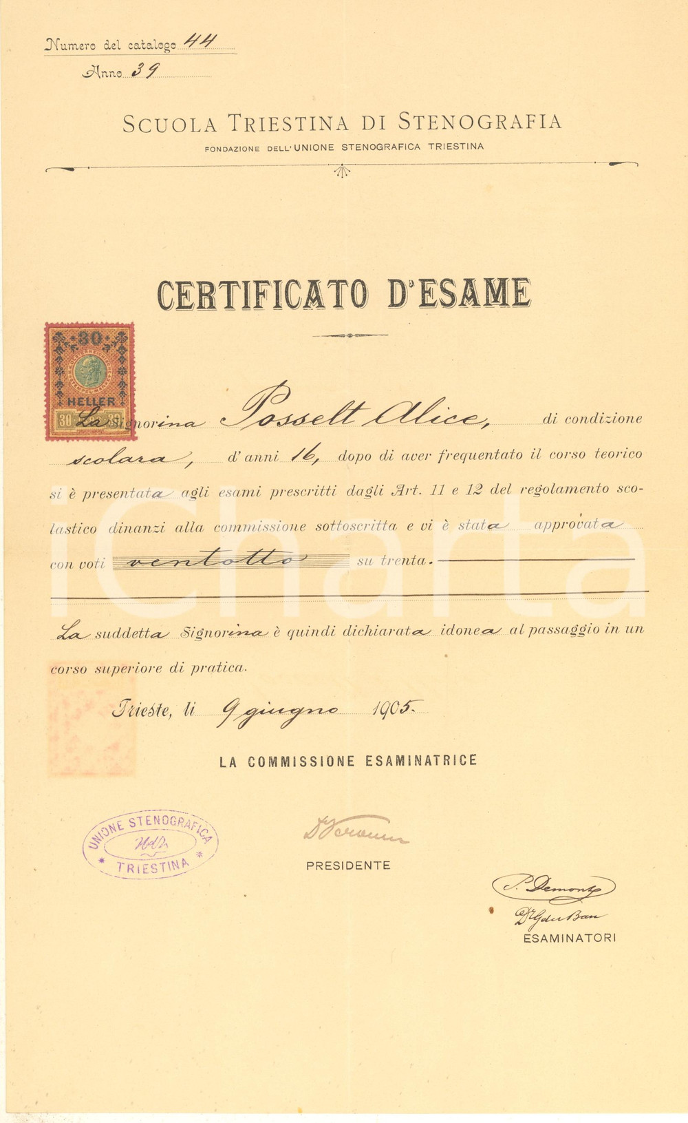 Documento originale, autentico 1905 TRIESTE Scuola Triestina Stenografia  Certificato d esame Alice POSSELT 1