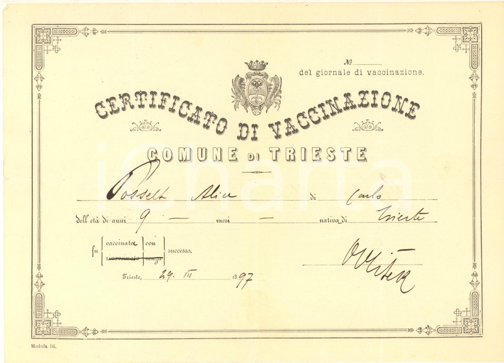 Documento originale, autentico 1897 TRIESTE Certificato di vaccinazione Alice POSSELT bambina 1