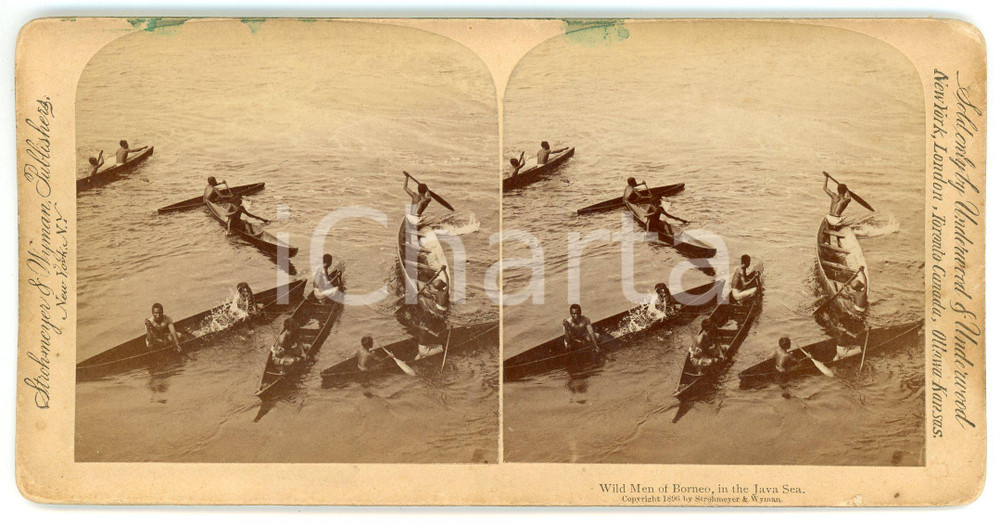 Fotografia d epoca originale 1896 JAVA SEA  INDONESIA Wild men of BORNEO Stereoview STROHMEYER AND WYMAN 1
