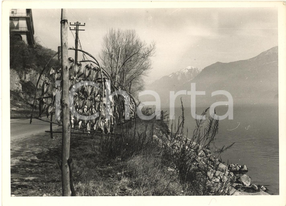 Fotografia d epoca originale 1970 ca LAGO COMO Veduta con pesci in essicazione per missoltini Foto COSTUME 1