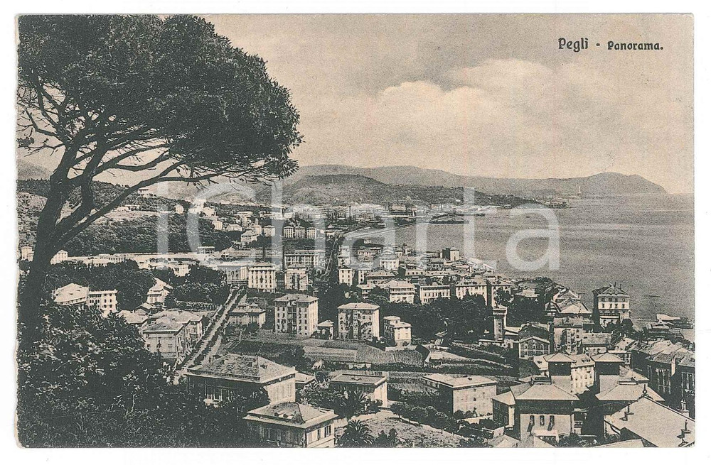 Cartolina originale da collezione 1930 ca GENOVA  PEGLI Panorama ponente genovese  Cartolina FP NV 1