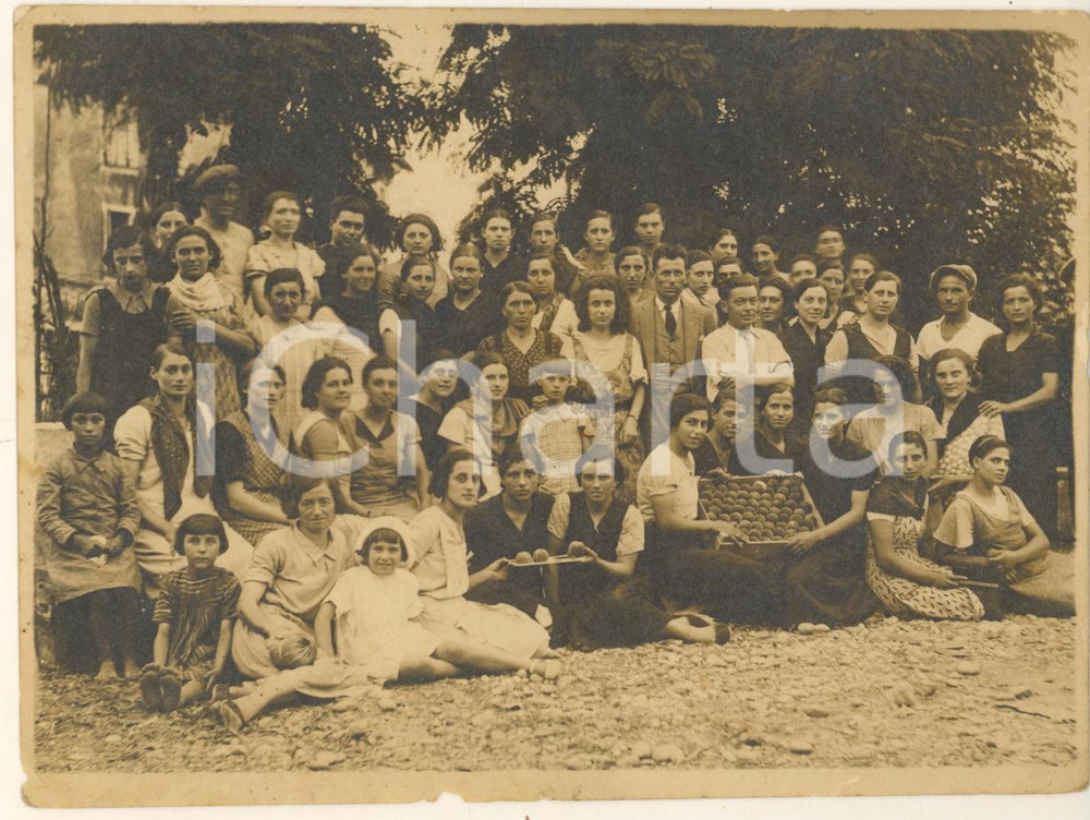 Fotografia d epoca originale 1930 ca COSTUME ITALIA Raccolta delle pesche  Ritratto di gruppo Foto 16x12 cm 1