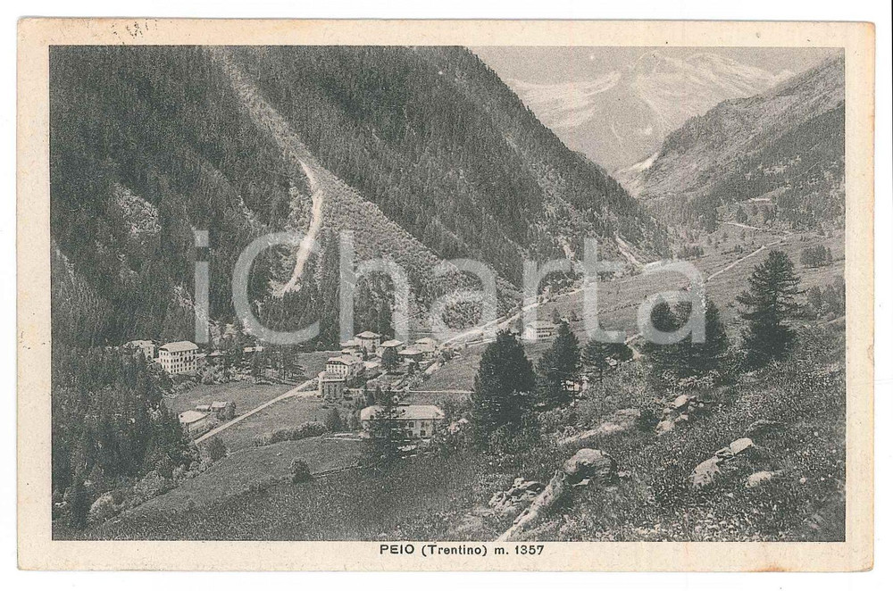 Cartolina originale da collezione 1939 PEIO TN Panorama del paese  Cartolina FP VG 1