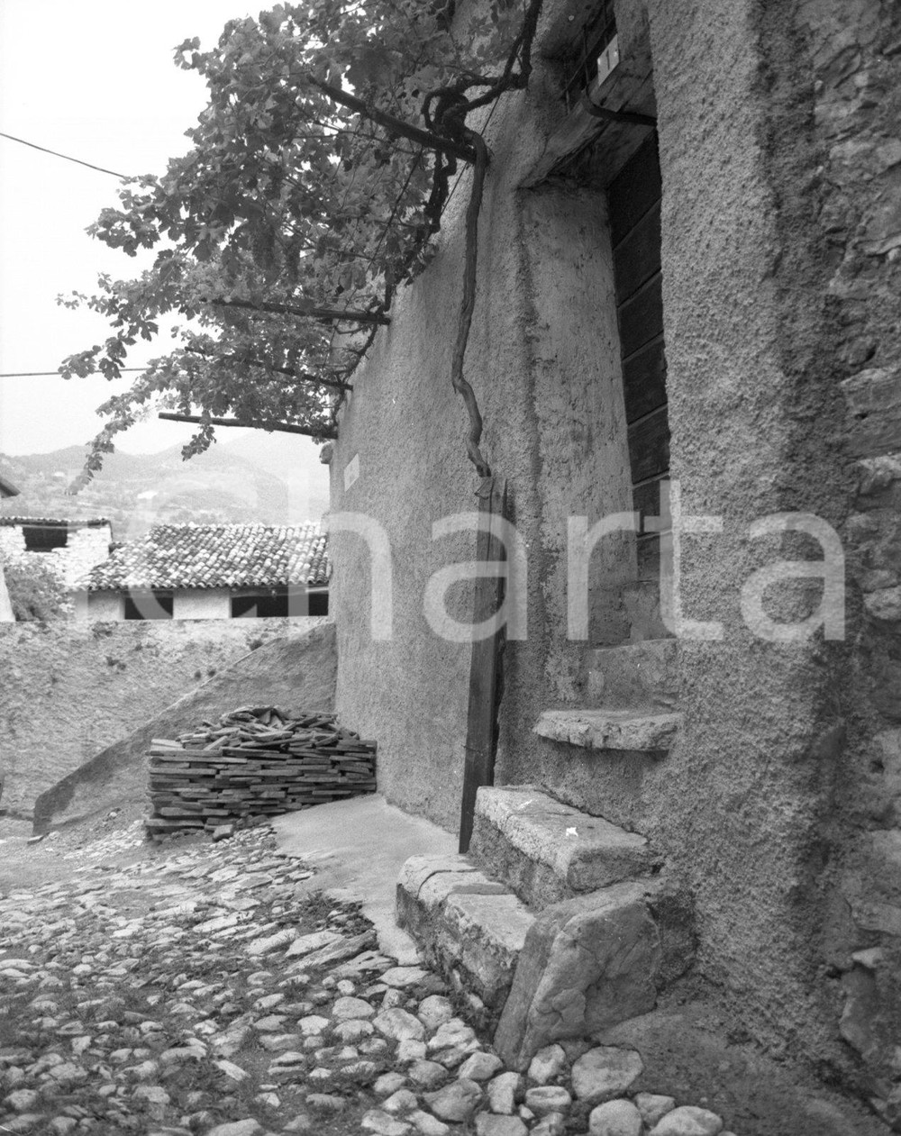 Fotografia d epoca originale 1955 TIGNALE Borgo di PIOVERE BS Casa con albero di vite NEGATIVO ORIGINALE 1 1