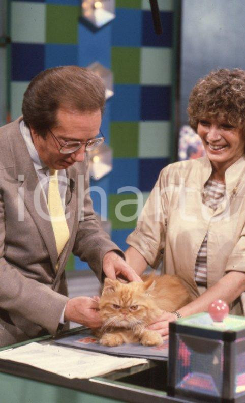 Fotografia d epoca originale 1980ca Mike BONGIORNO con un gatto conduce TV Flash 35mm vintage slide 1