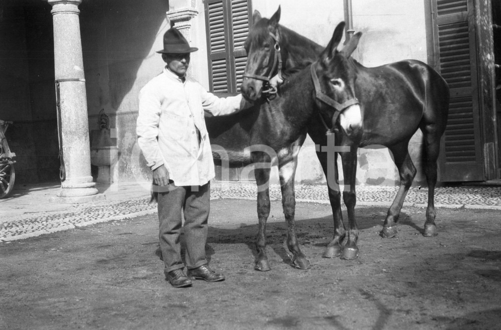 Fotografia d epoca originale 1922 GARLATE LC Corte con mulo e cavallo NEGATIVO ORIGINALE 1