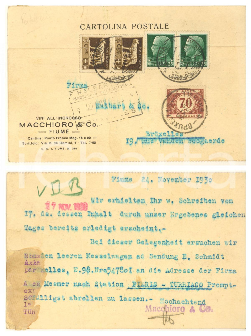 Cartolina originale da collezione 1930 FIUME ISTRIA Vini all ingrosso MACCHIORO & Co.  Cartolina postale 1