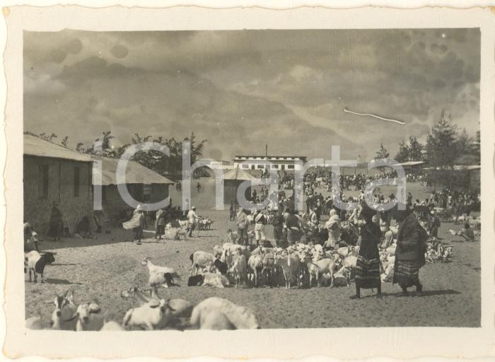 Fotografia d epoca originale 1936 AOI SOMALIA  MOGADISCIO  Mercato Scingani  Foto COSTUME 9x6 cm 1