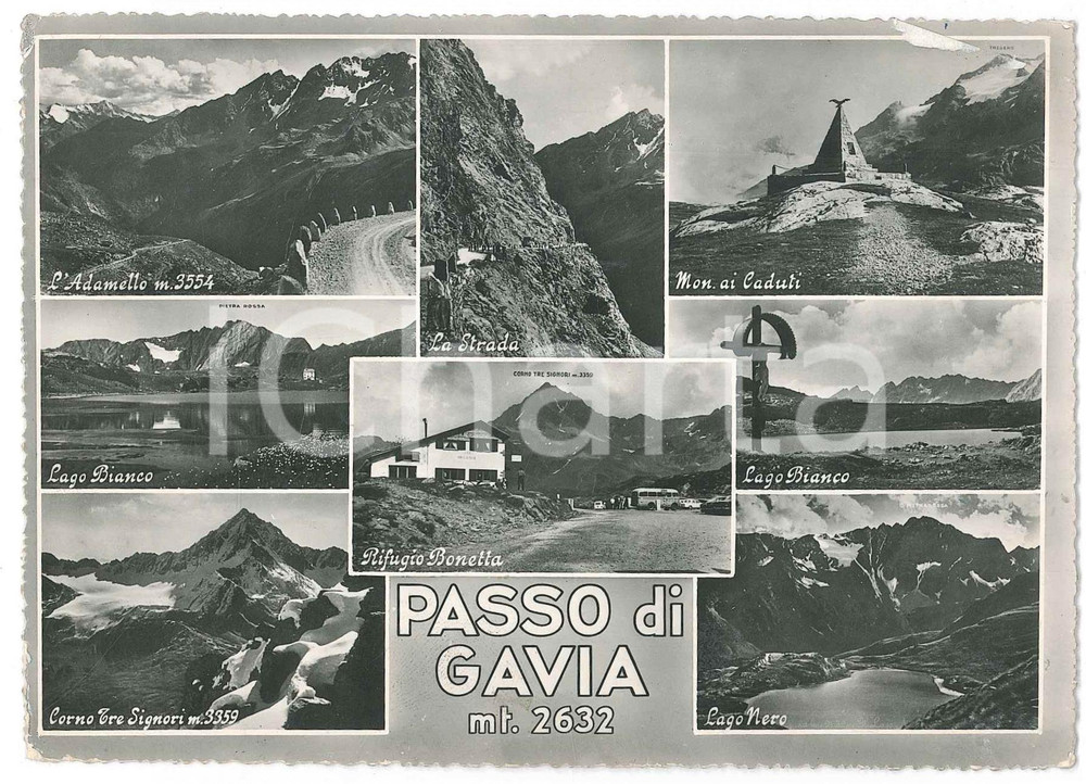 Cartolina originale da collezione 1965 PASSO DI GAVIA Adamello  Lago Bianco e Nero  Rifugio Bonetta  Cartolina 1