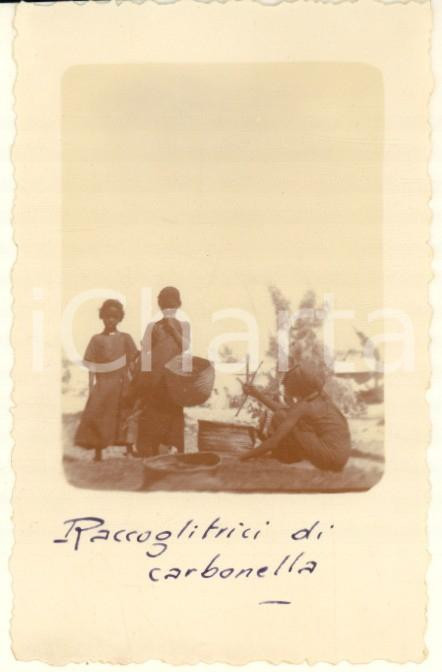 Fotografia d epoca originale 1936 AOI COSTUMI ETIOPIA  Raccoglitrici di carbonella Foto 6x8 cm 1