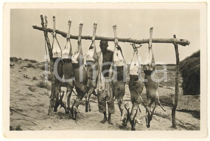 Fotografia d epoca originale 1936 AOI ERITREA Cacciatore indigeno con i cervi uccisi Foto 8x6 cm 1