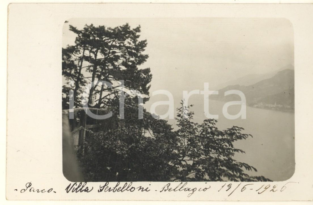 Fotografia d epoca originale 1926 LAGO DI COMO  BELLAGIO  Parco di Villa Serbelloni Foto cartolina 1