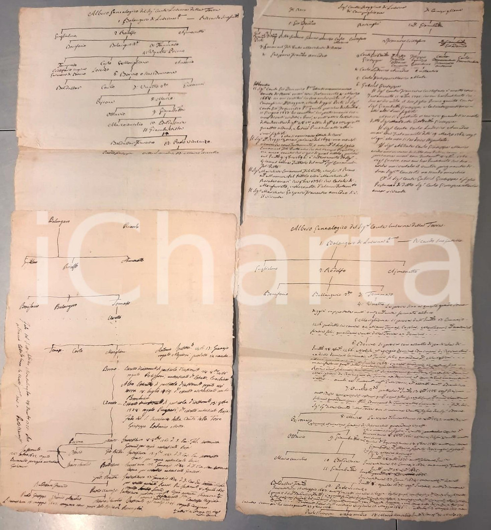 Documento originale, autentico 1800 ca TORRE PELLICE Albero genealogico dei conti LUSERNA Lotto 4 manoscritti 1