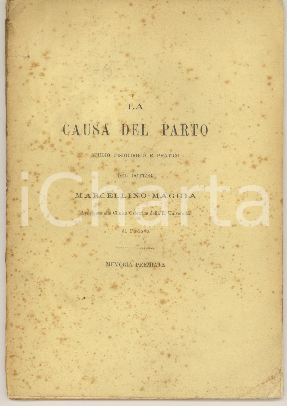Libro, pubblicazione d epoca 1879 PADOVA Clinica Ostetrica  Marcellino MAGGIA La causa del parto RARO 1