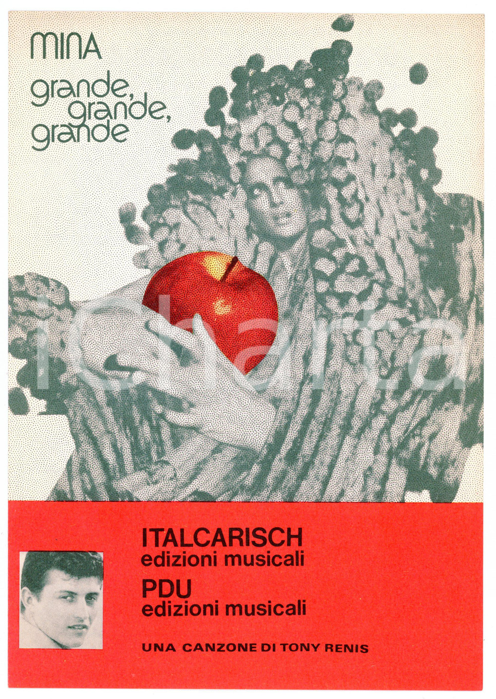 Oggetto da collezione cartaceo 1972 MINA Grande, grande, grande di A. TESTA Tony RENIS Ed. Italcarisch PDU 1
