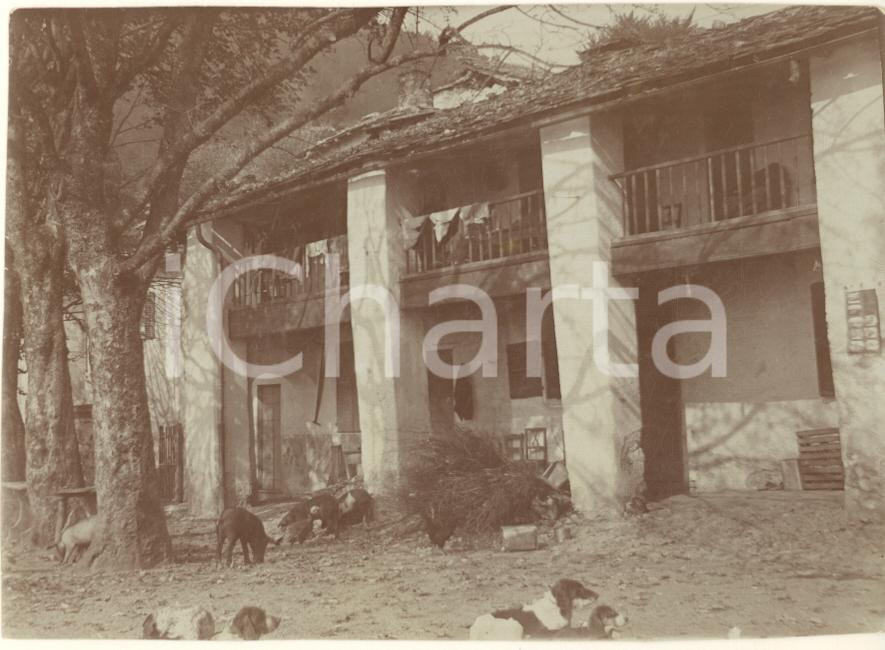 Fotografia d epoca originale 1915 ca AREA DI COMO Cascina con animali in cortile Foto COSTUME 12x9 cm 1