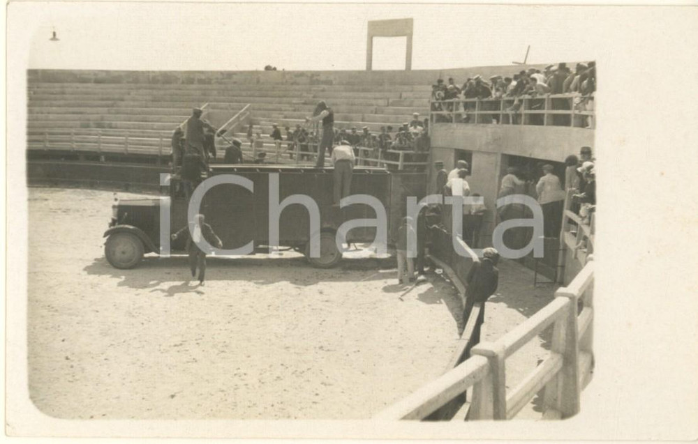 Fotografia d epoca originale 1950 ca SPAGNA  CORRIDA  Ingresso camion per trasporto tori Foto cartolina 1