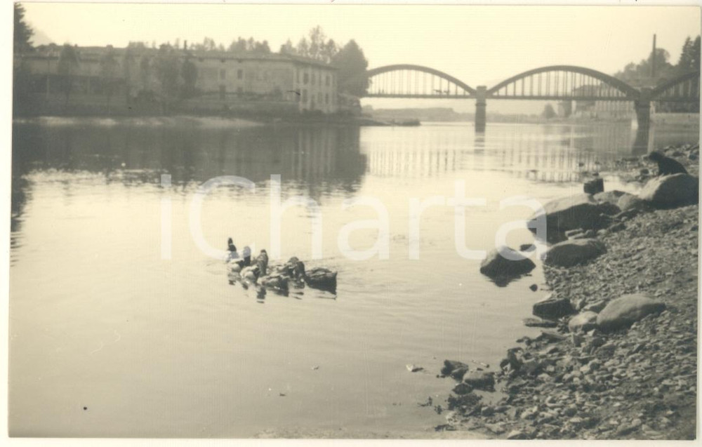 Fotografia d epoca originale 1950 ca BRIVIO LC Veduta del ponte sul fiume Adda  Foto 14x9 cm 1