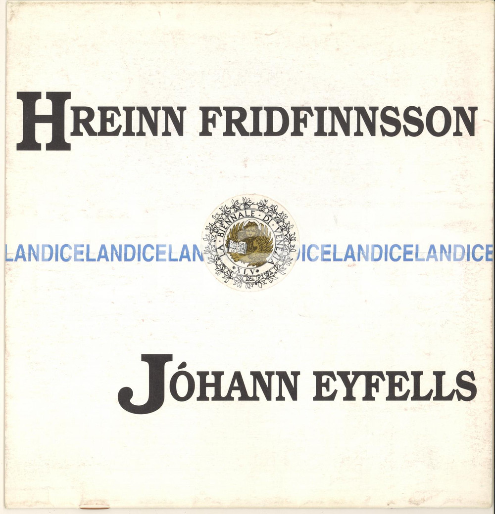 Libro, pubblicazione d epoca 1993 BIENNALE DI VENEZIA  ICELAND  Catalogo mostra Fridfinnsson  Eyfells 1