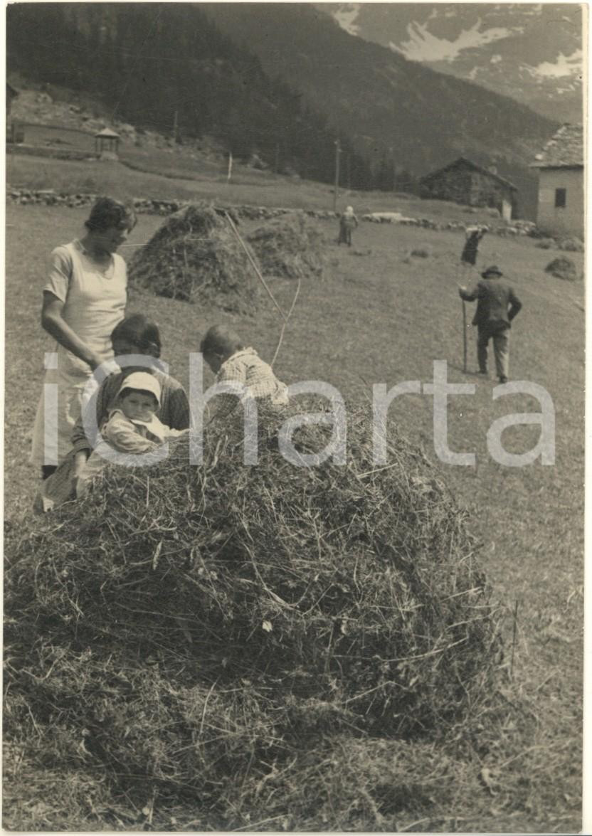 Fotografia d epoca originale 1960 ca COSTUMI VALTOURNANCHE Giochi tra il fieno Foto animata 10x15 cm 1