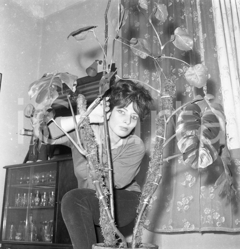 Fotografia d epoca originale 1970ca ROMA Giuseppina Josè GRECI photoshoot dell attrice NEGATIVO ORIGINALE 4 1