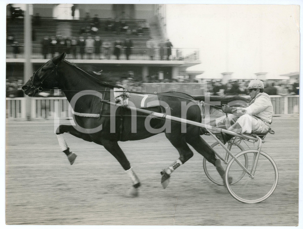 Fotografia d epoca originale 1964 IPPODROMO DI SAN SIRO Premio Milano HURST HANOVER e Giancarlo BALDI Foto 1