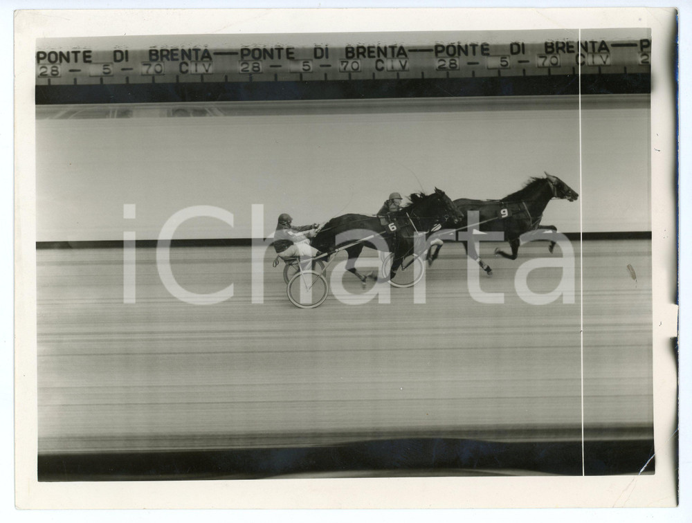 Fotografia d epoca originale 1970 IPPICA  PONTE DI BRENTA 8° Elwood Medium TEDIO e CAROSIO al traguardo Foto 1