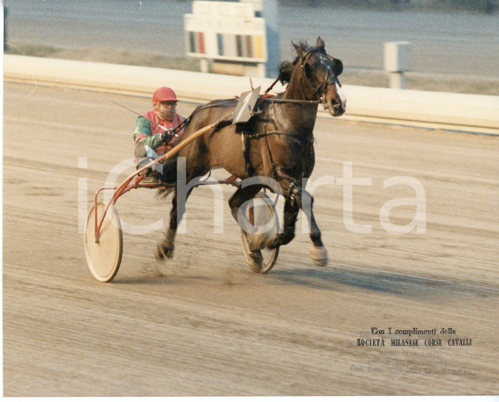 Fotografia d epoca originale 1980 ca MILANO Ippodromo di San Siro DARIF EFFE Giancarlo BALDI in gara  Foto 1 1