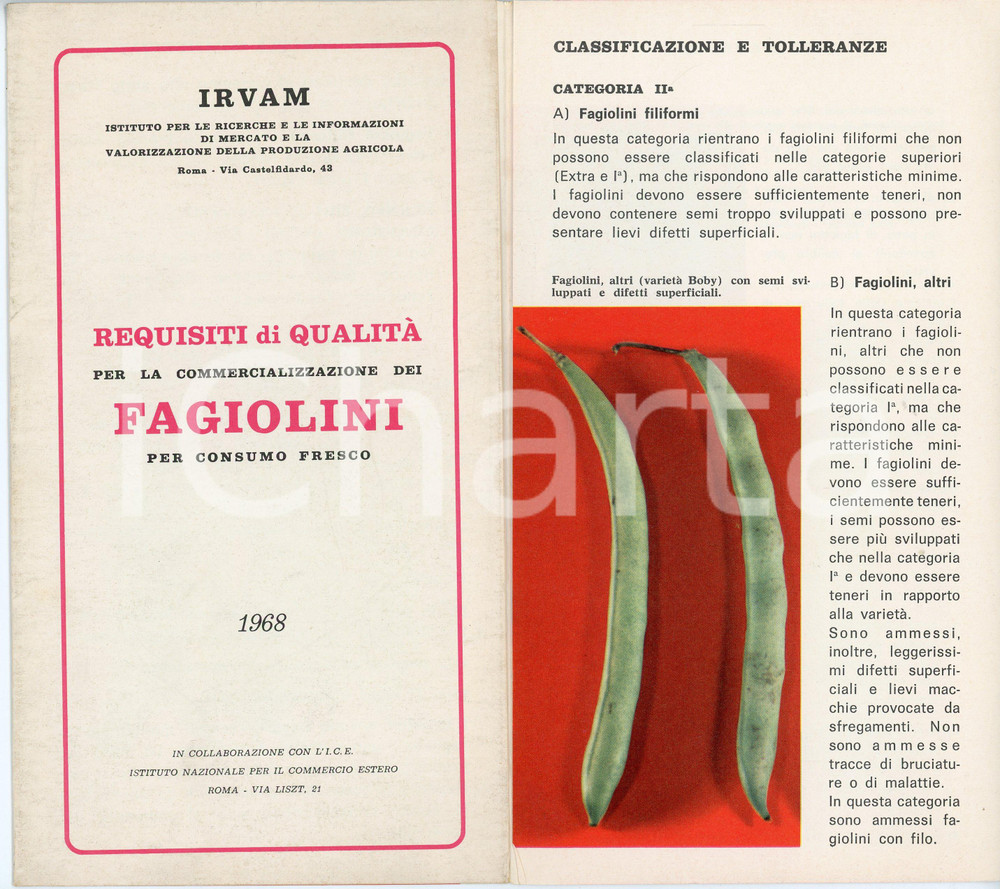 Materiale pubblicitario d’epoca 1968 ROMA  IVRAM Requisiti per commercializzazione dei fagiolini  Brochure 1