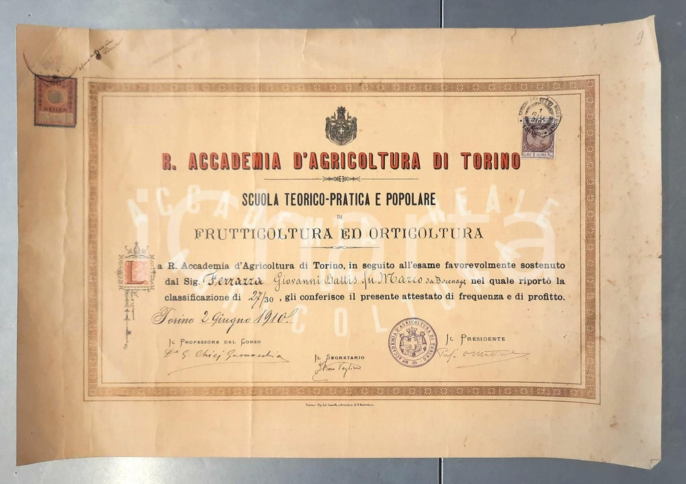 Oggetto da collezione cartaceo 1910 TORINO R. Accademia d Agricoltura  Scuola di Frutticoltura Attestato 1
