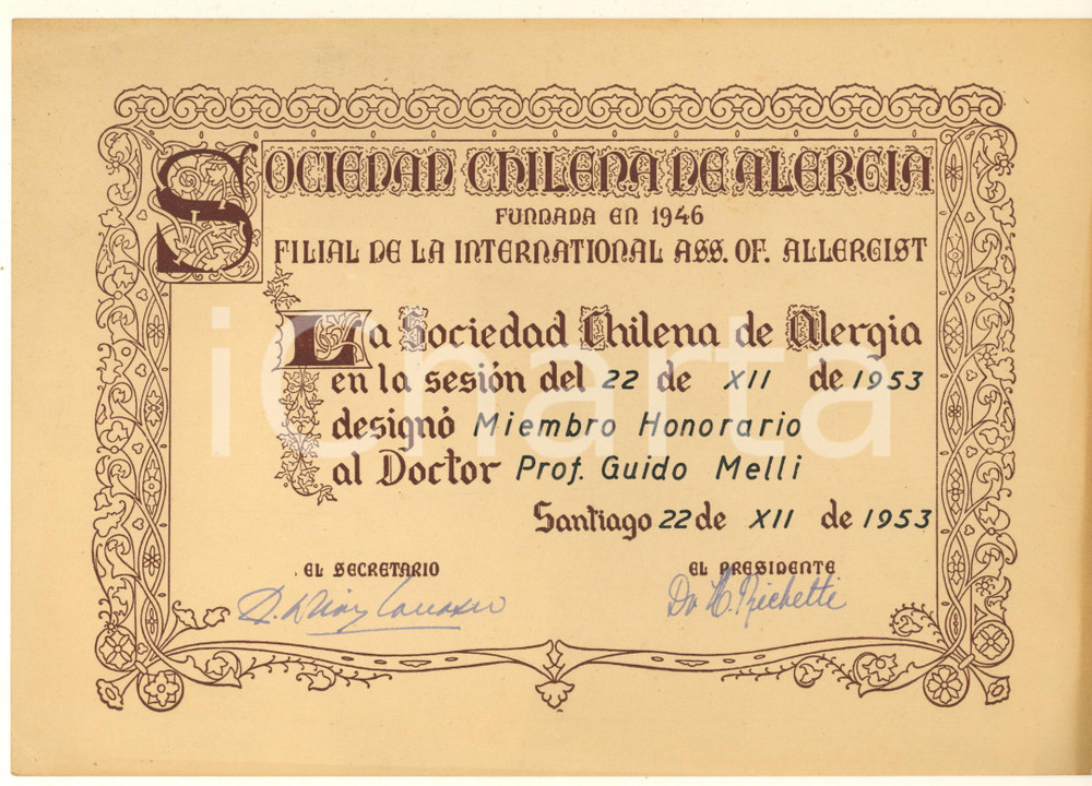 Documento originale, autentico 1953 SANTIAGO CHILE Sociedad Chilena de Alergia  Attestato membro onorario 1