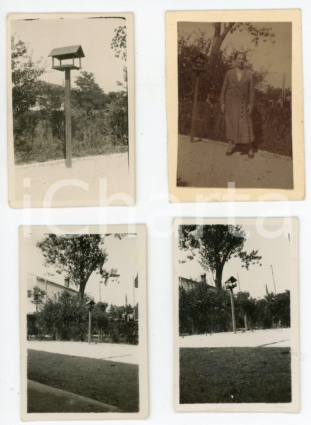 Fotografia d epoca originale 1930 TRIESTE  OPICINA Anziana con casetta per uccellini  Lotto 4 foto 1