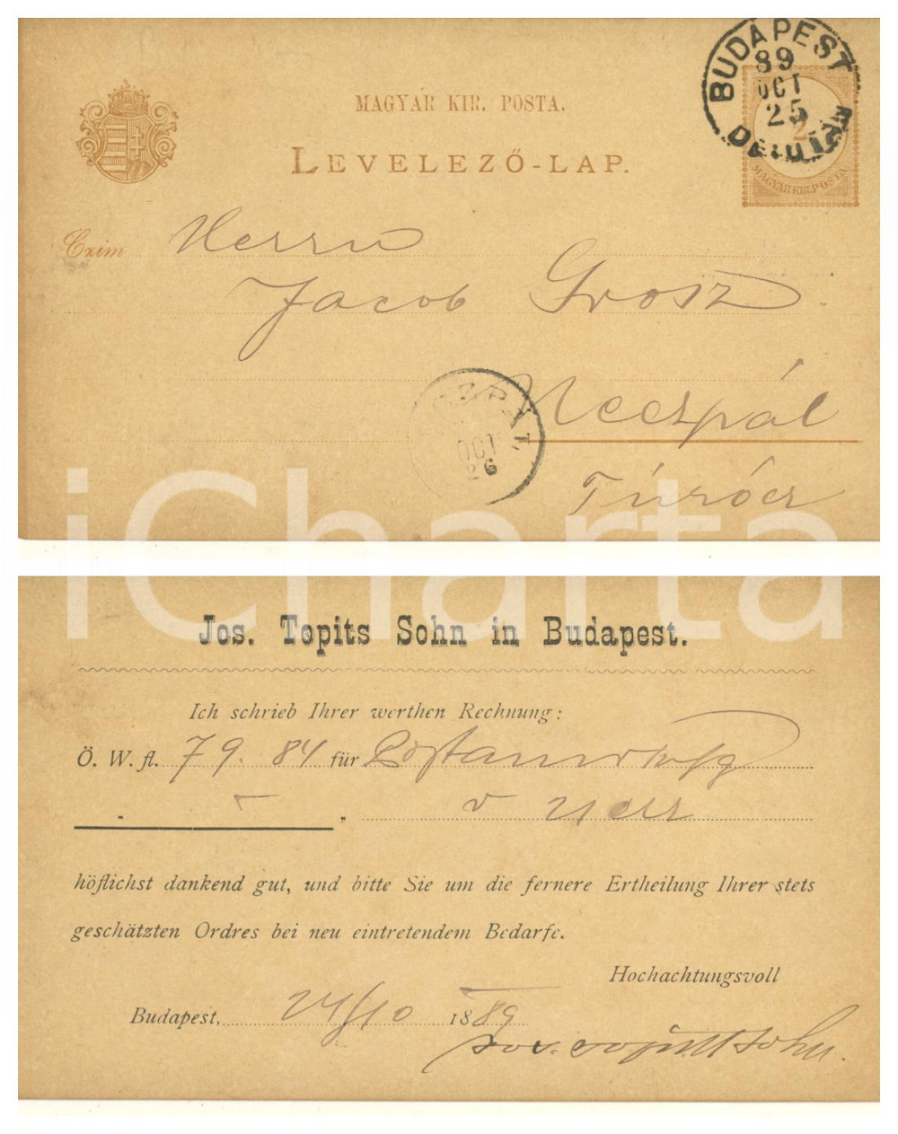 Cartolina originale da collezione 1889 BUDAPEST Hungary Jos. TOPITS Sohn  Alimentari Cartolina commerciale 1