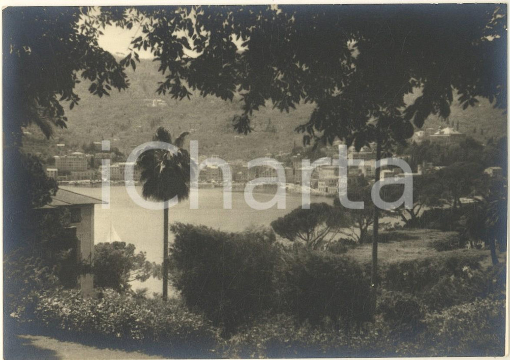 Fotografia d epoca originale 1960 ca RAPALLO GE Veduta panoramica Foto vintage artistica 15x10 cm 1