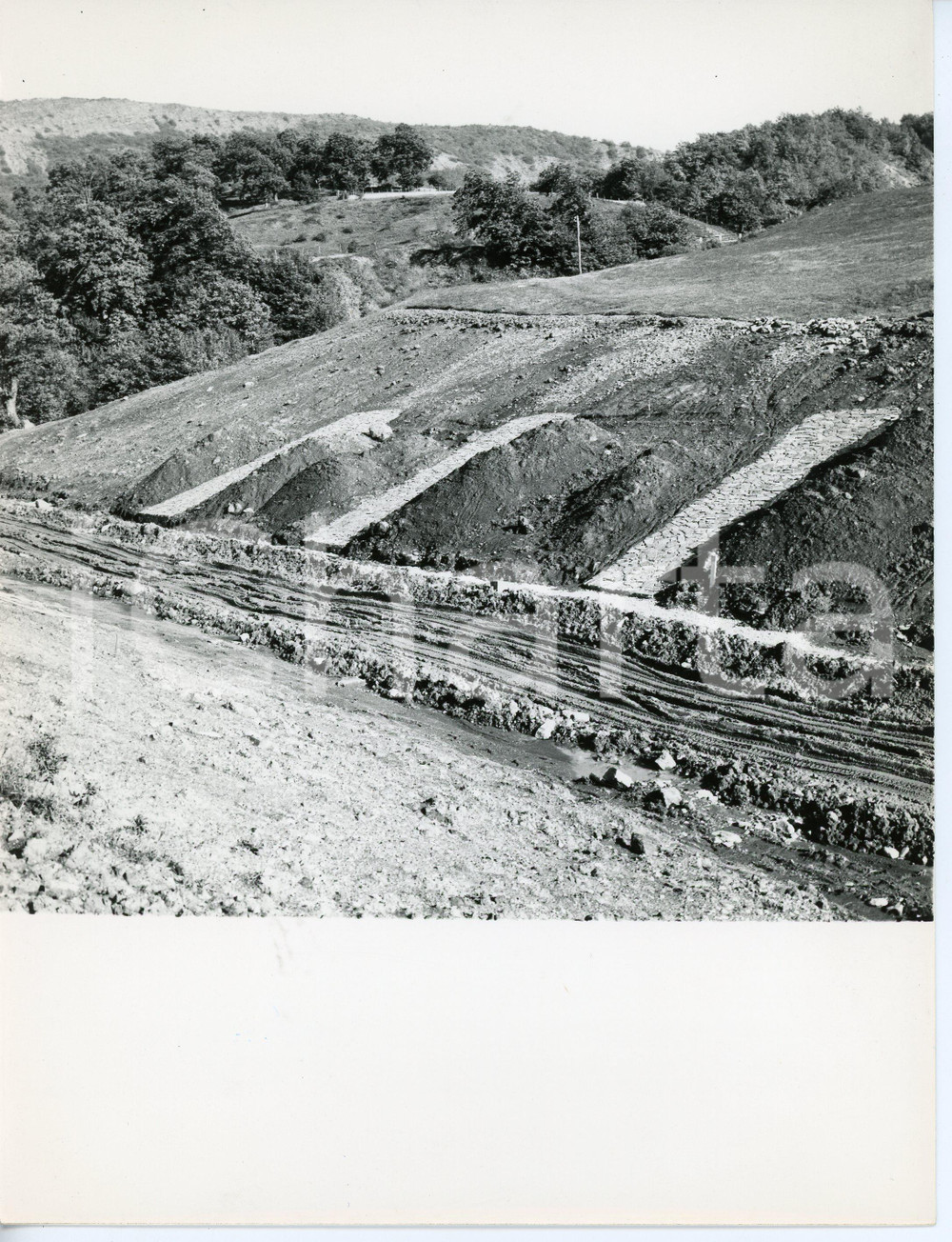 Fotografia d epoca originale 1960 ca BERCETO Strada del TUGO Speroni drenanti  Foto 1