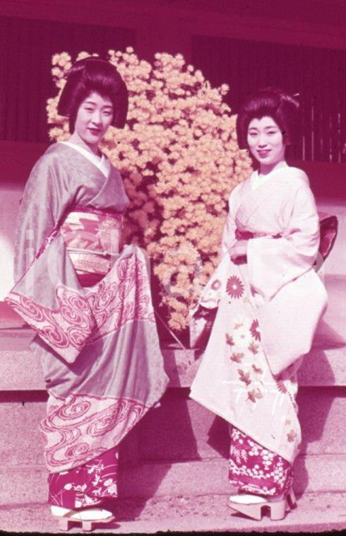 Fotografia d epoca originale 1970ca KYOTO? Beautiful gheisha girl by the Chrysanthemums 35 mm VINTAGE SLIDE 1
