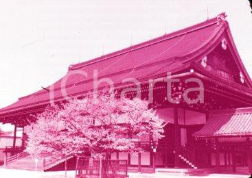 Fotografia d epoca originale 1970ca KYOTO JP Shishilden, Kyoto Imperial Palace mm VINTAGE SLIDE 1